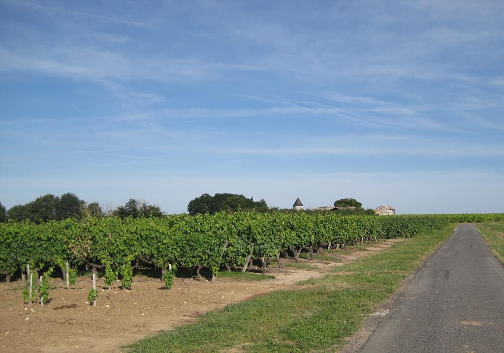 Villa La Petite Grange Lorignac Esterno foto